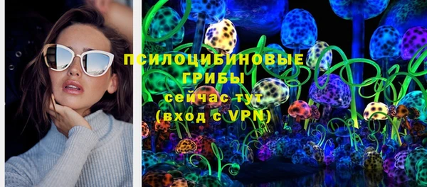 твердый Верея