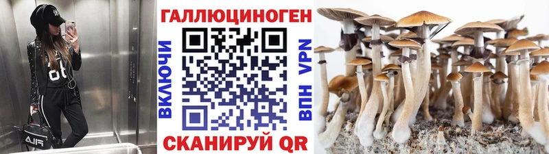 Галлюциногенные грибы MAGIC MUSHROOMS  Купить  Азнакаево 
